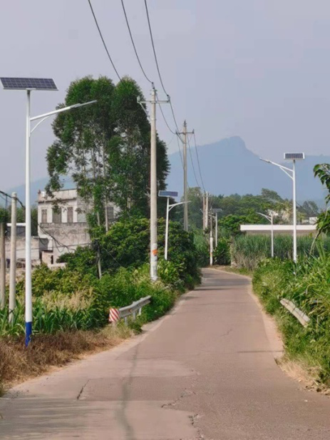 太陽(yáng)能路燈案例